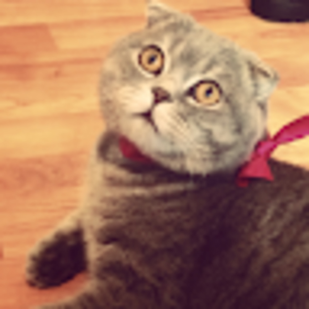 Meet your Posher, Lisa